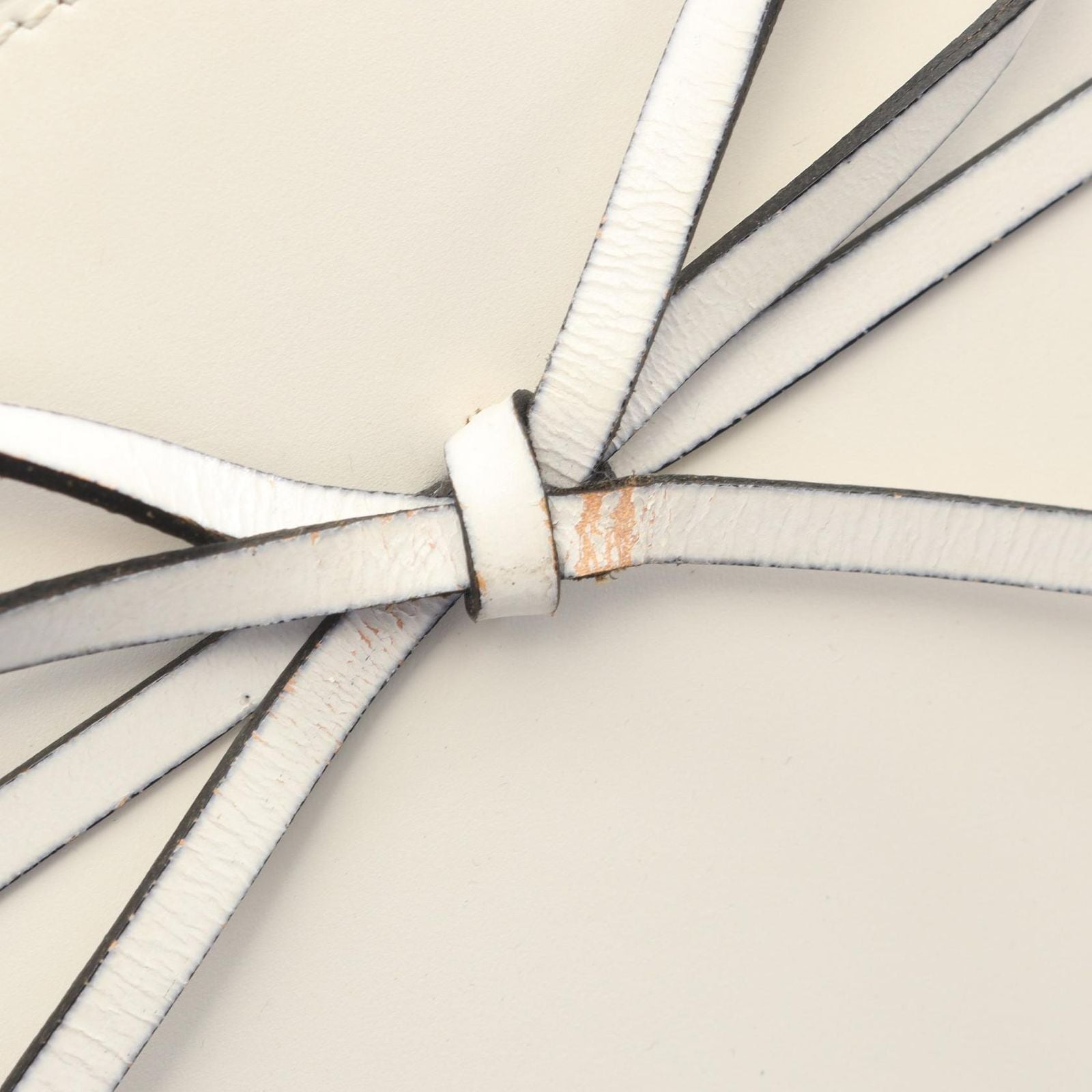 Loewe Shoulder Bag Ikebana