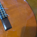Yamaha Classical Guitars G-120