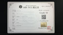 Pokemon Card Game Ars 10 Ex Sar Sv2A 151 Psa