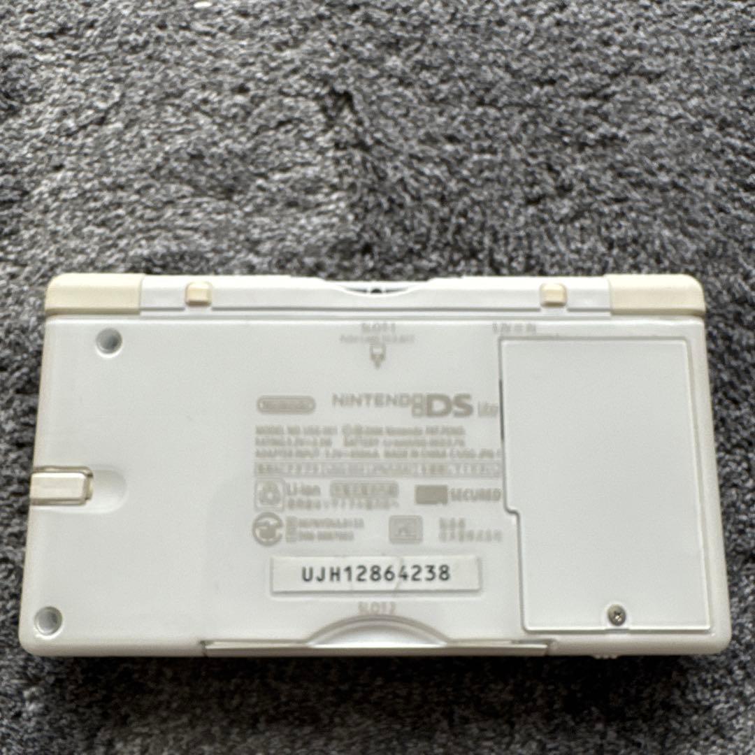 Nintendo Ds Consoles Lite)