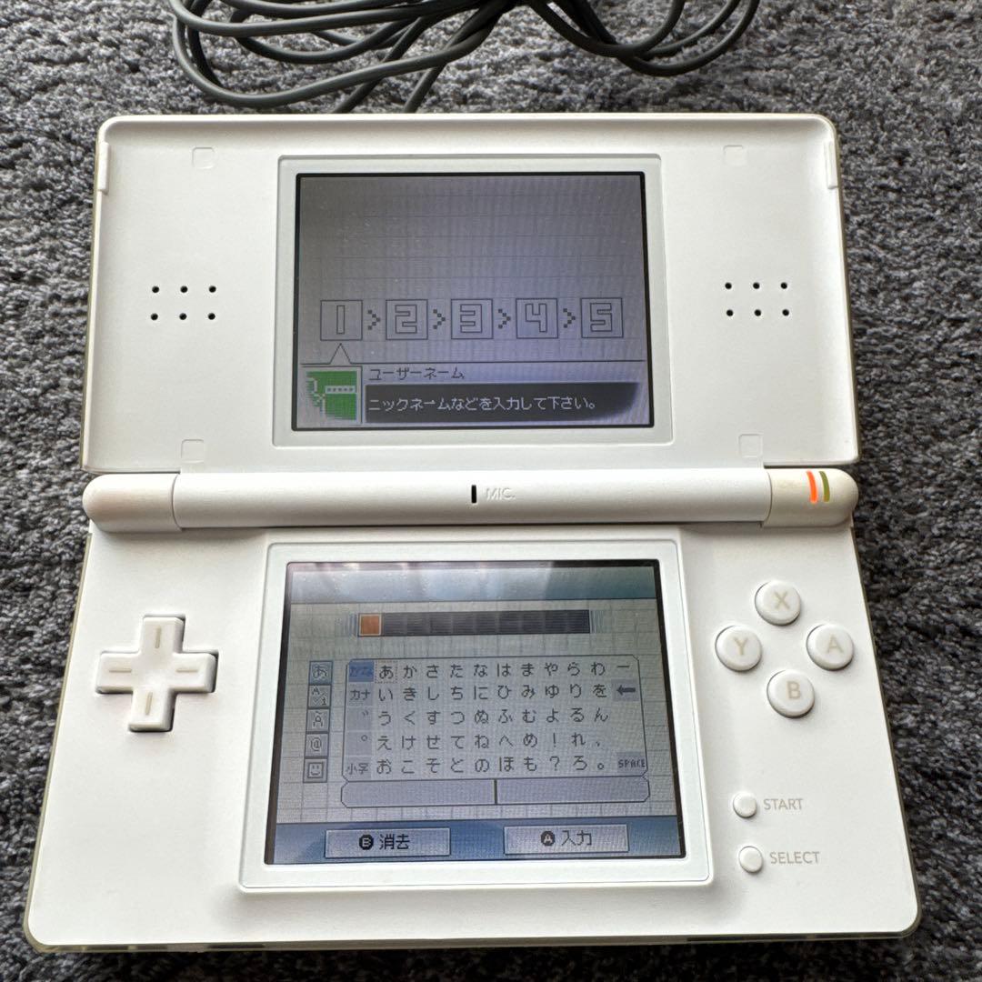 Nintendo Ds Consoles Lite)