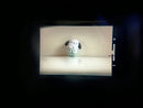 Pentax Slr Camera (Film) 180 Spotmatic