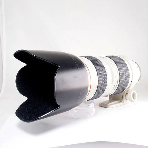 Canon Others Ef70-200/2.8L Usm
