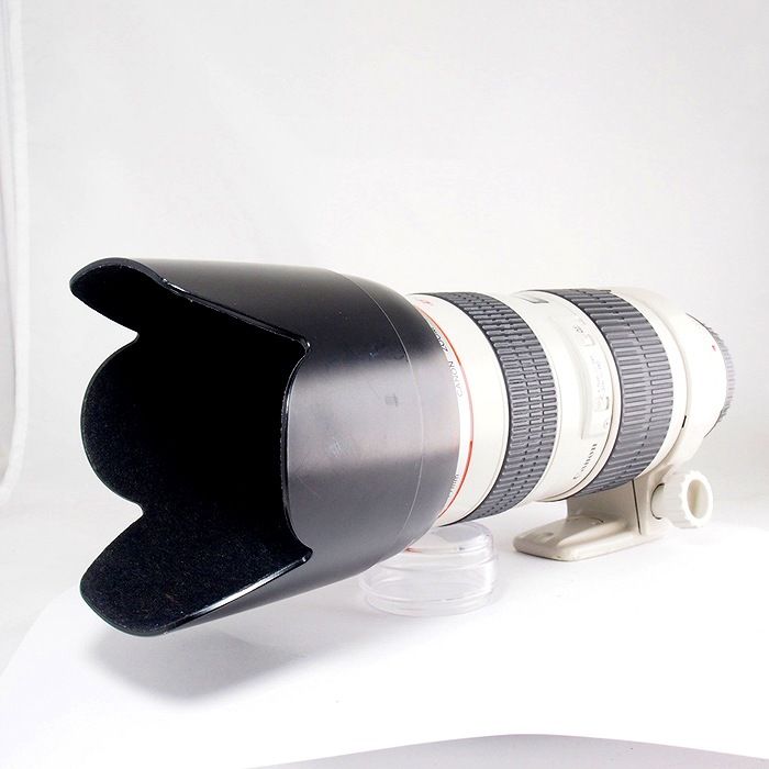 Canon Others Ef70-200/2.8L Usm