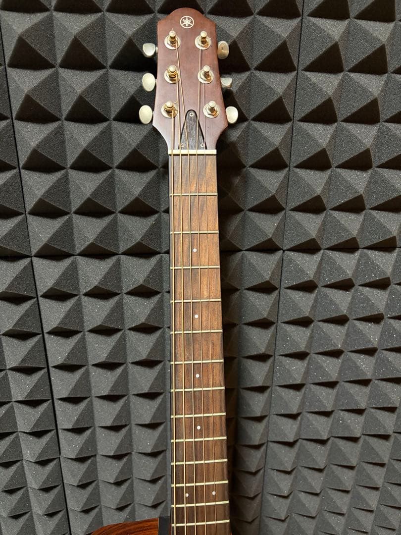 Yamaha Acoustic Guitars Slg