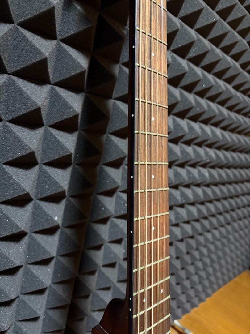 Yamaha Acoustic Guitars Slg