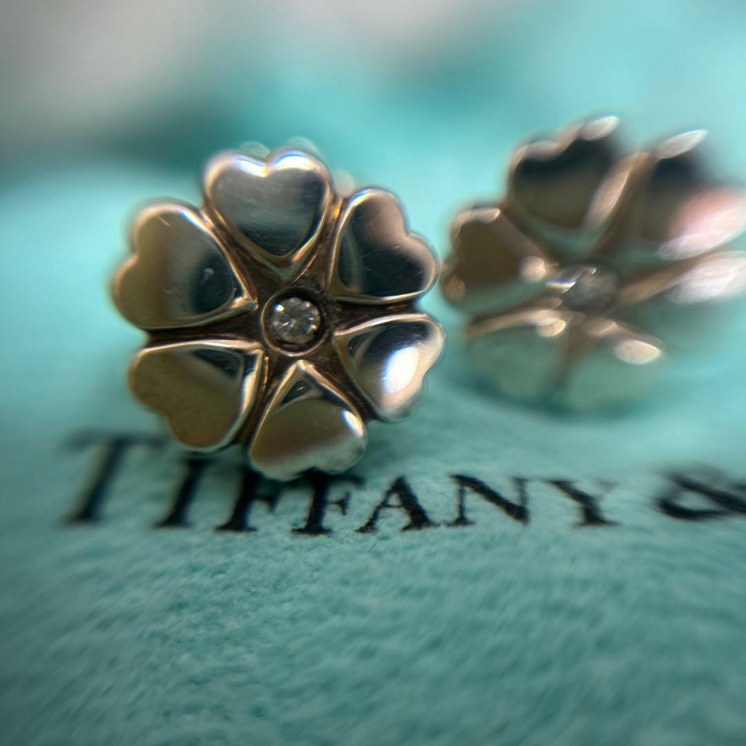 Tiffany Earrings (Pairs) 0630A