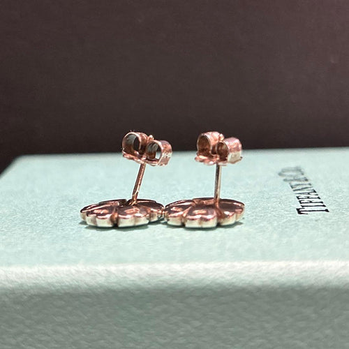 Tiffany Earrings (Pairs) 0630A
