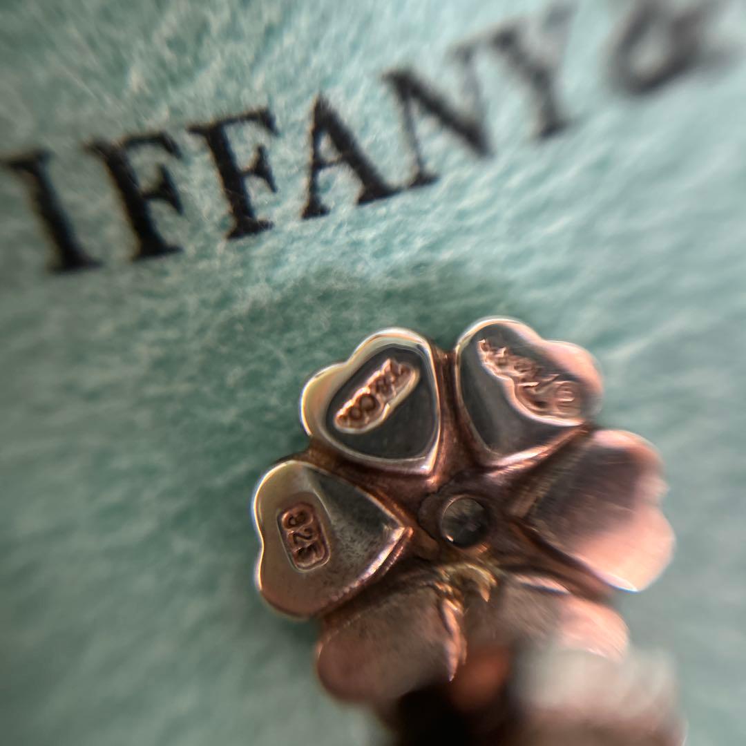 Tiffany Earrings (Pairs) 0630A