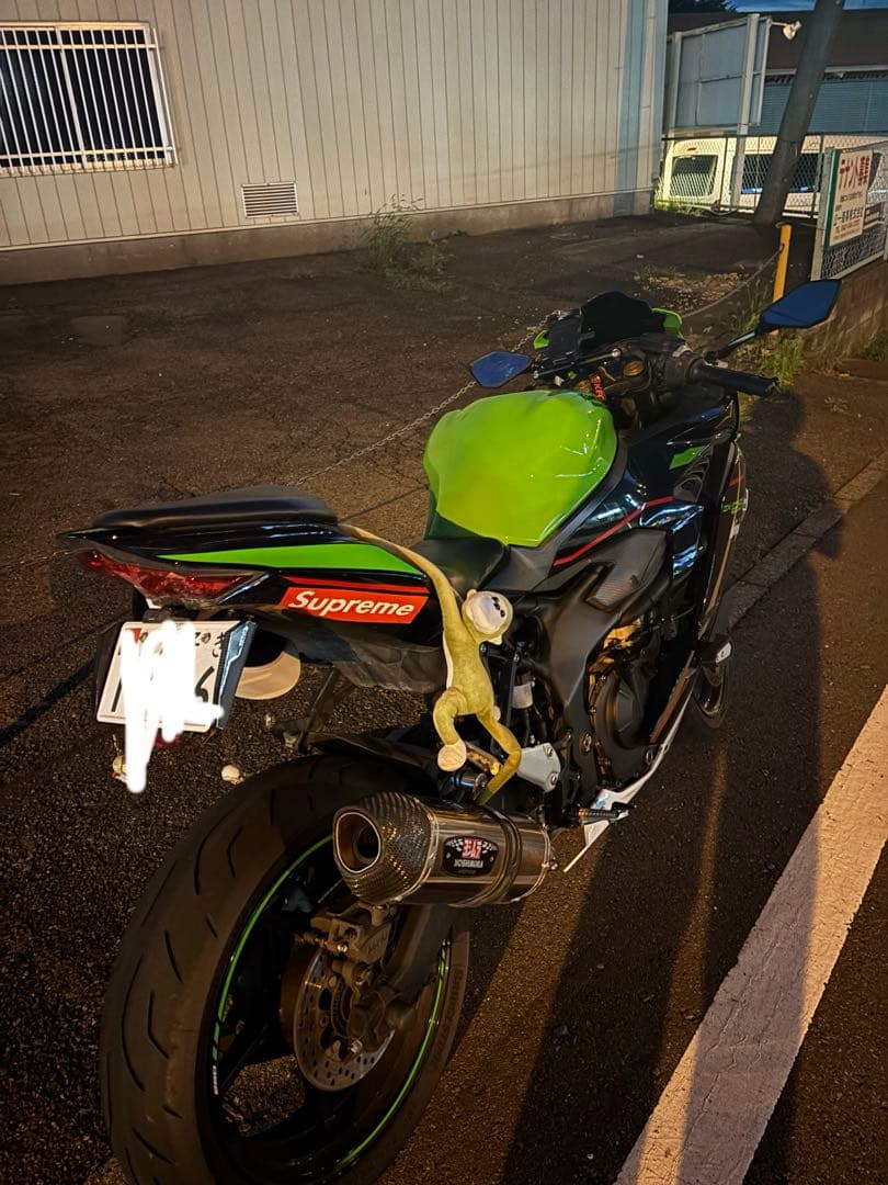 Kawasaki Motorcycle Body Zx25R