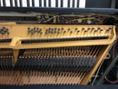 Yamaha Keyboards Digital Pianos Cp-70 73