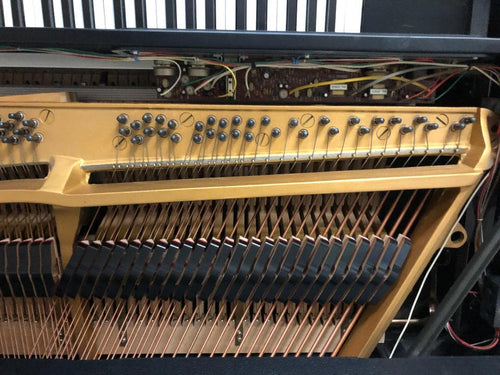 Yamaha Keyboards Digital Pianos Cp-70 73