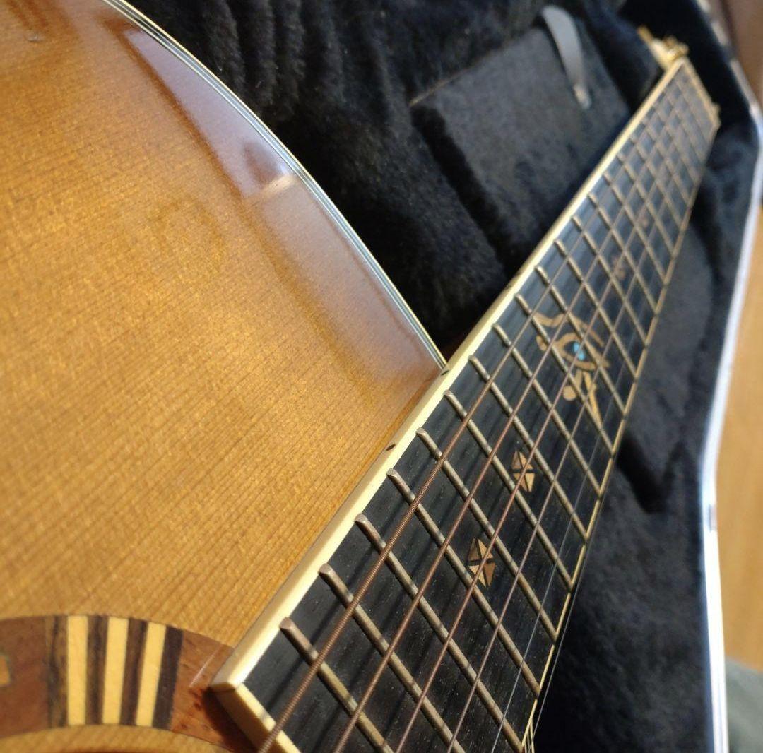 Yamaha Acoustic Guitars Cpx-15Ea