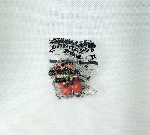 Key Chain/Acrylic Chain