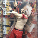 Sports Wwe
