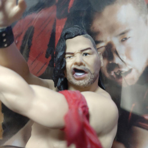 Sports Wwe