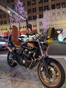 Motorcycle Frames Xjr400
