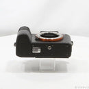 Sony Mirrorless Interchangeable Lips 7R Ii 368