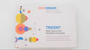 Hardware Sound Source Rossum Electro-Music Satellite