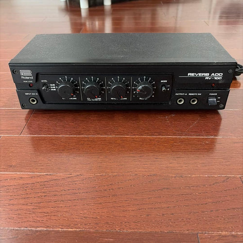 Roland Others Rv-100