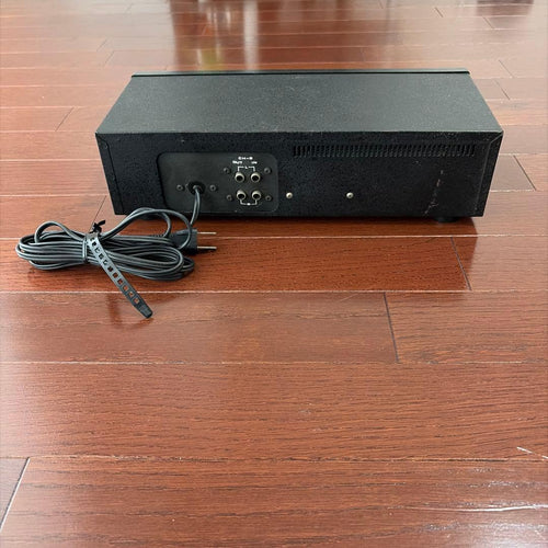 Roland Others Rv-100