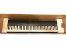Roland Keyboards Digital Pianos 2024 88 Go:Piano88