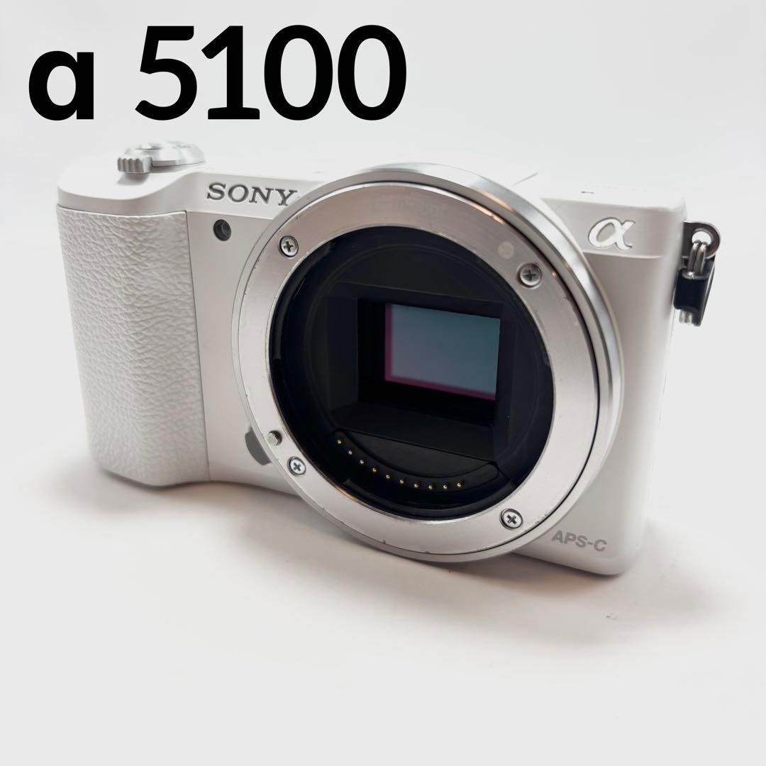 Sony Mirrorless Interchangeable Lens Cameras 5100 Ilce-5100