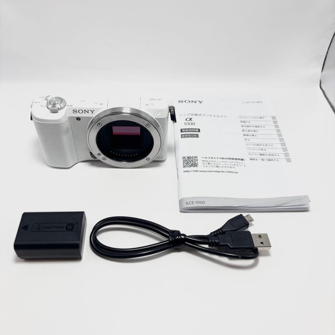 Sony Mirrorless Interchangeable Lens Cameras 5100 Ilce-5100