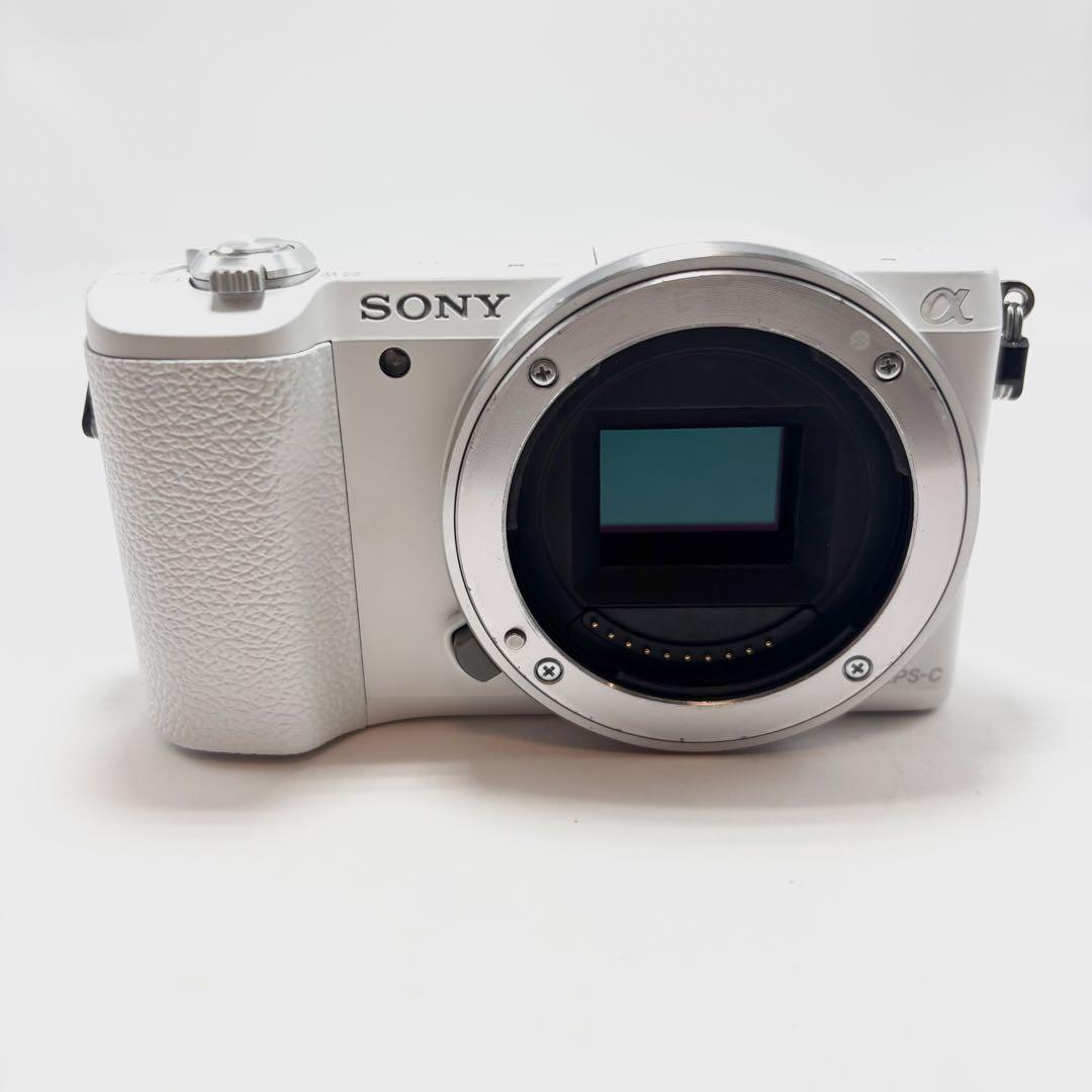 Sony Mirrorless Interchangeable Lens Cameras 5100 Ilce-5100