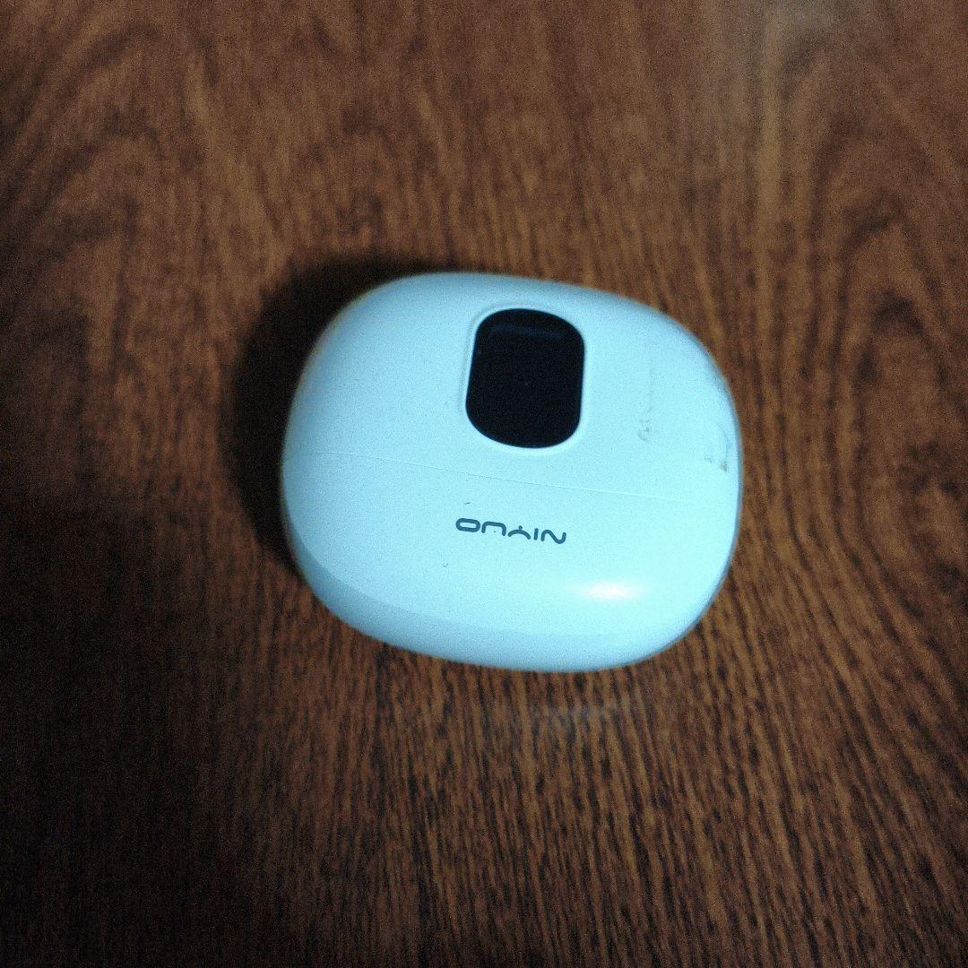 Wireless Earphone
