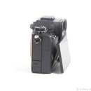 Sony Mirrorless Interchangeable Lips 1 262