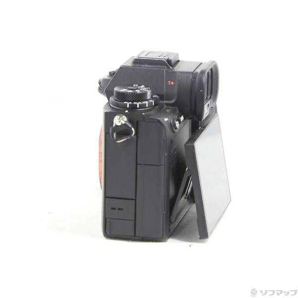 Sony Mirrorless Interchangeable Lips 1 262