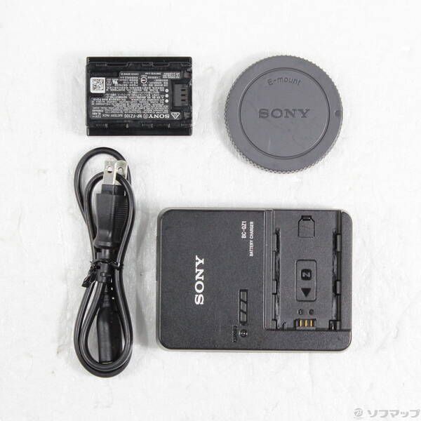 Sony Mirrorless Interchangeable Lips 1 262