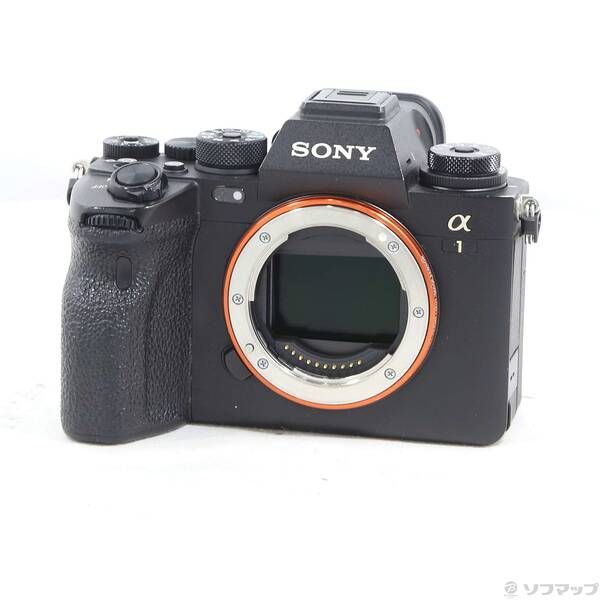 Sony Mirrorless Interchangeable Lips 1 262
