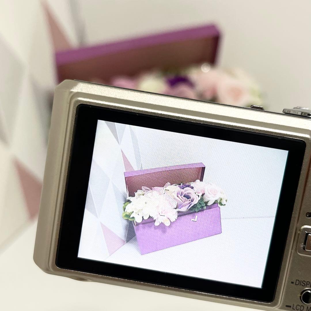 Panasonic Compact Digital Cameras Lumix Dmc-Fx100