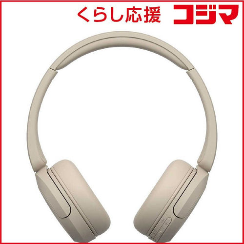 Sony Others /Bluetooth Wh-Ch520 Cz