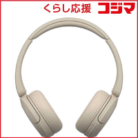 Sony Others /Bluetooth Wh-Ch520 Cz
