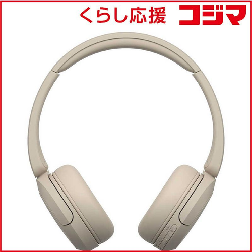 Sony Others /Bluetooth Wh-Ch520 Cz
