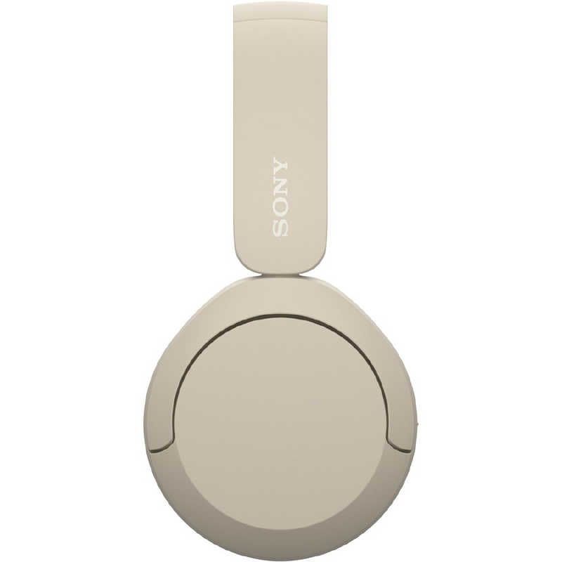 Sony Others /Bluetooth Wh-Ch520 Cz