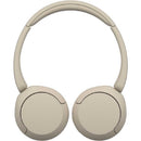 Sony Others /Bluetooth Wh-Ch520 Cz