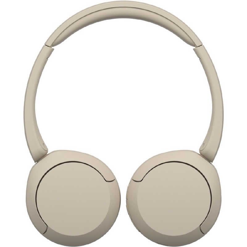 Sony Others /Bluetooth Wh-Ch520 Cz