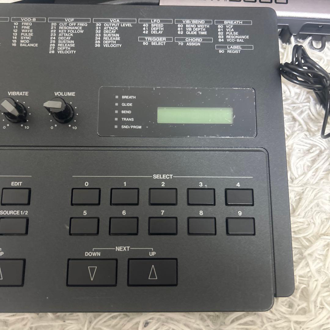 Akai Professional Hardware Instruments Ewi3000M Ewi3000
