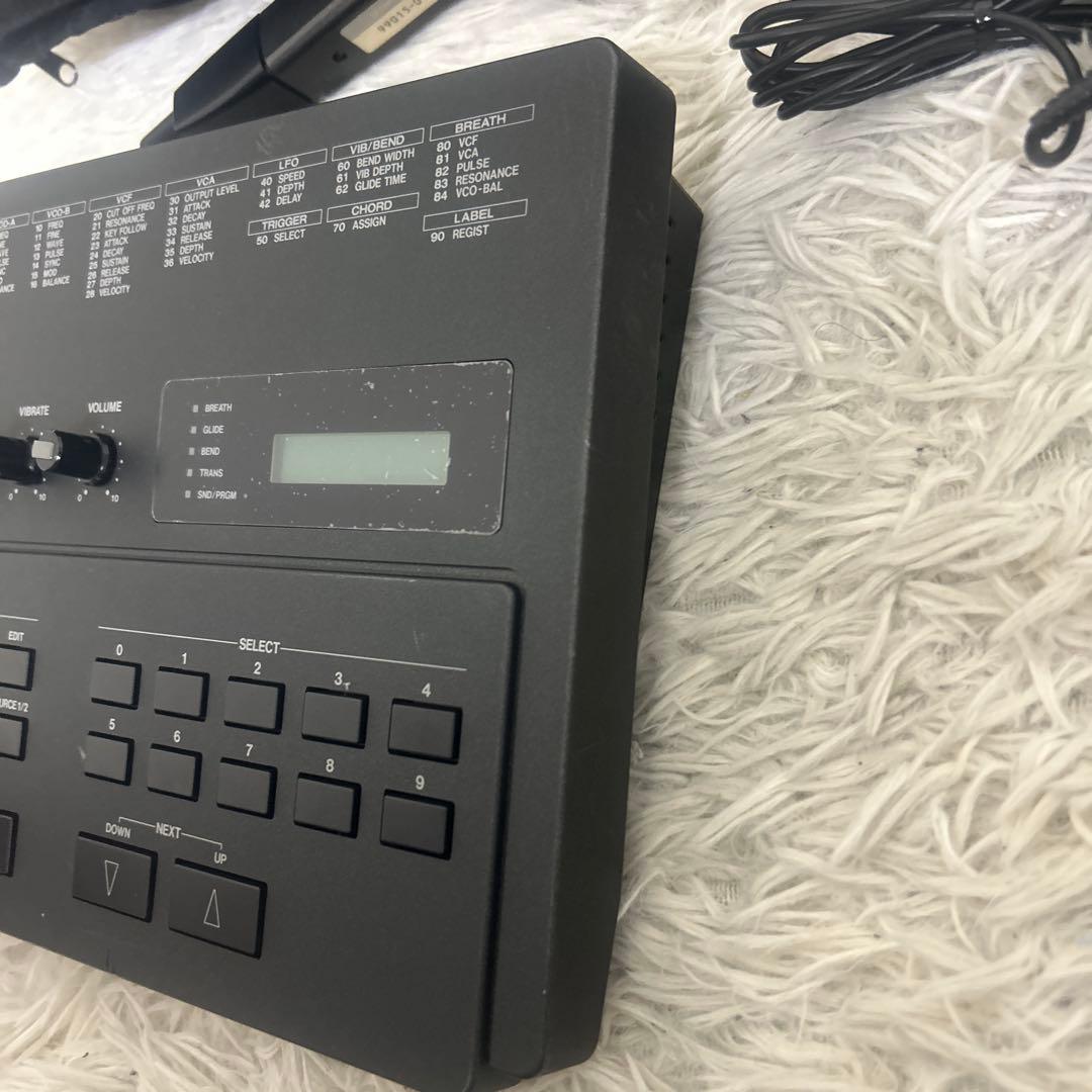 Akai Professional Hardware Instruments Ewi3000M Ewi3000