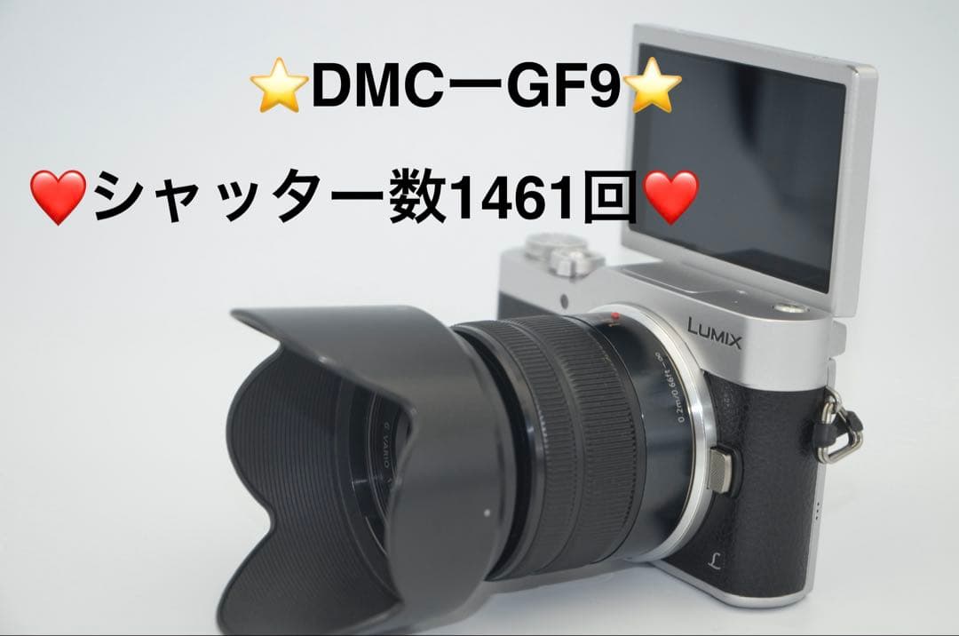 Mirrorless Interchangeable Lips Lumix Dmc Gf9