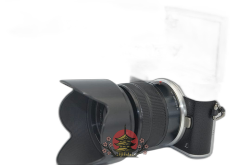 Mirrorless Interchangeable Lips Lumix Dmc Gf9