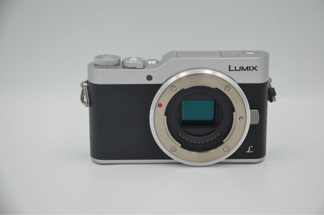 Mirrorless Interchangeable Lips Lumix Dmc Gf9