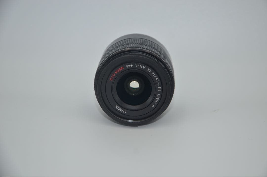Mirrorless Interchangeable Lips Lumix Dmc Gf9