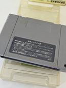 Software (Package Version)