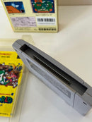 Software (Package Version)