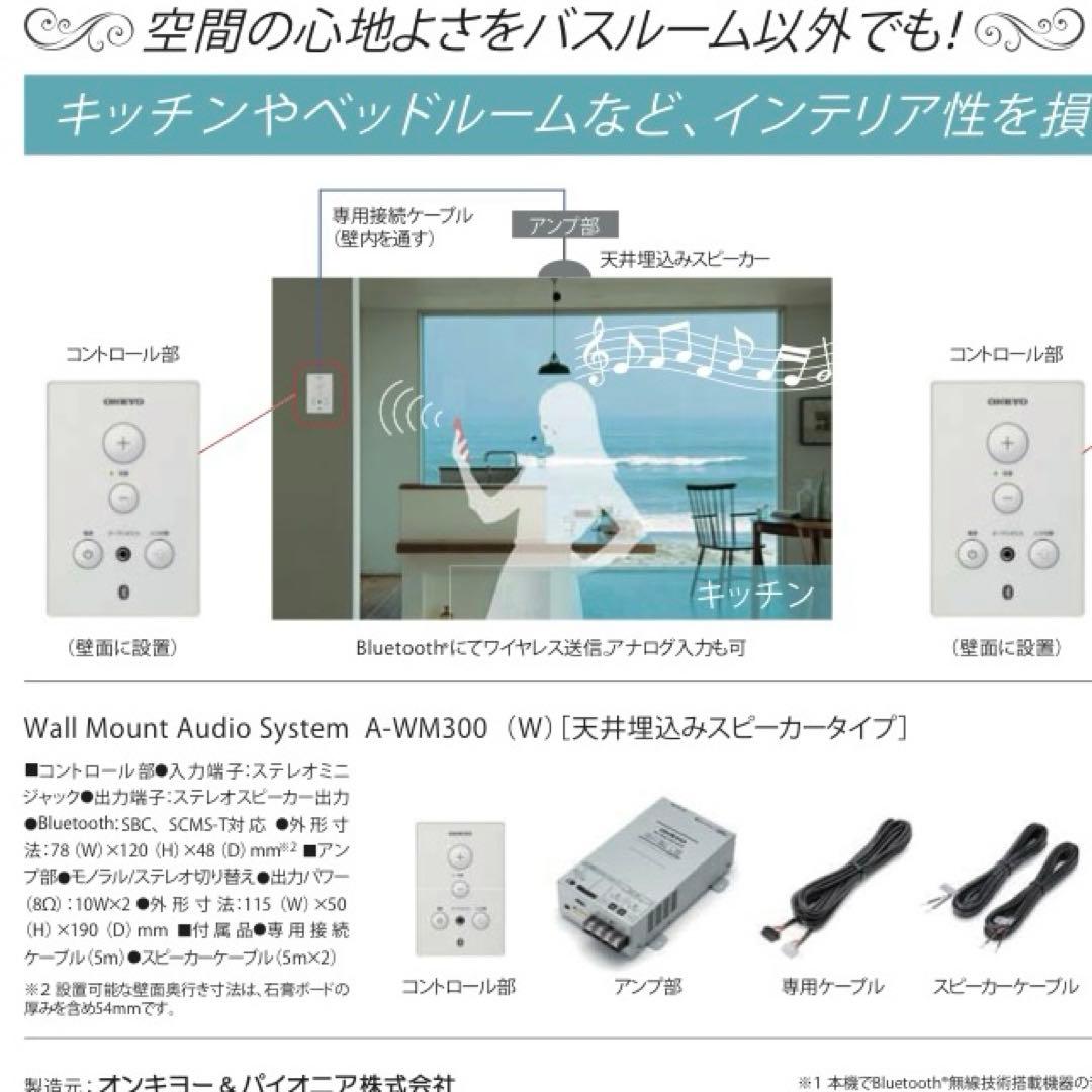 Onkyo Others A-Wm300